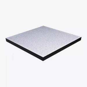 ZTFloor woodcore ABS sealed raised floor panel for office in Bangladesh