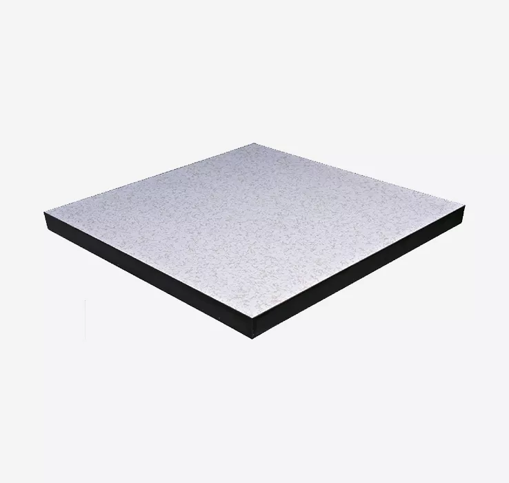 ZTFloor woodcore ABS sealed raised floor panel for office in Bangladesh