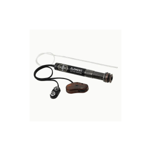 L.R. Baggs EAS Element Active System with volume Control in Bangladesh